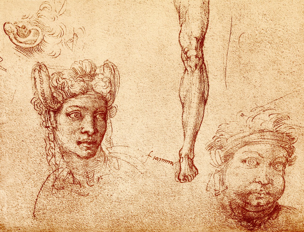 Fej- és lábtanulmányok alkotó: Francesco Ubertini Bacchiacca