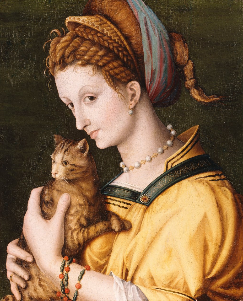 Hölgy macskával, 1525-30 körül alkotó: Francesco Ubertini Bacchiacca