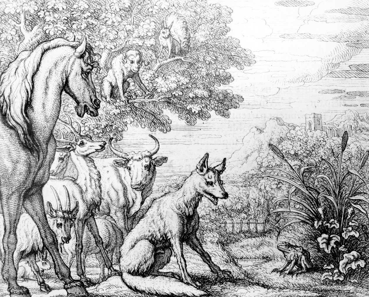 Az ambiciózus béka, illusztráció az Aesopus meséiből, 1687 alkotó: Francis Barlow