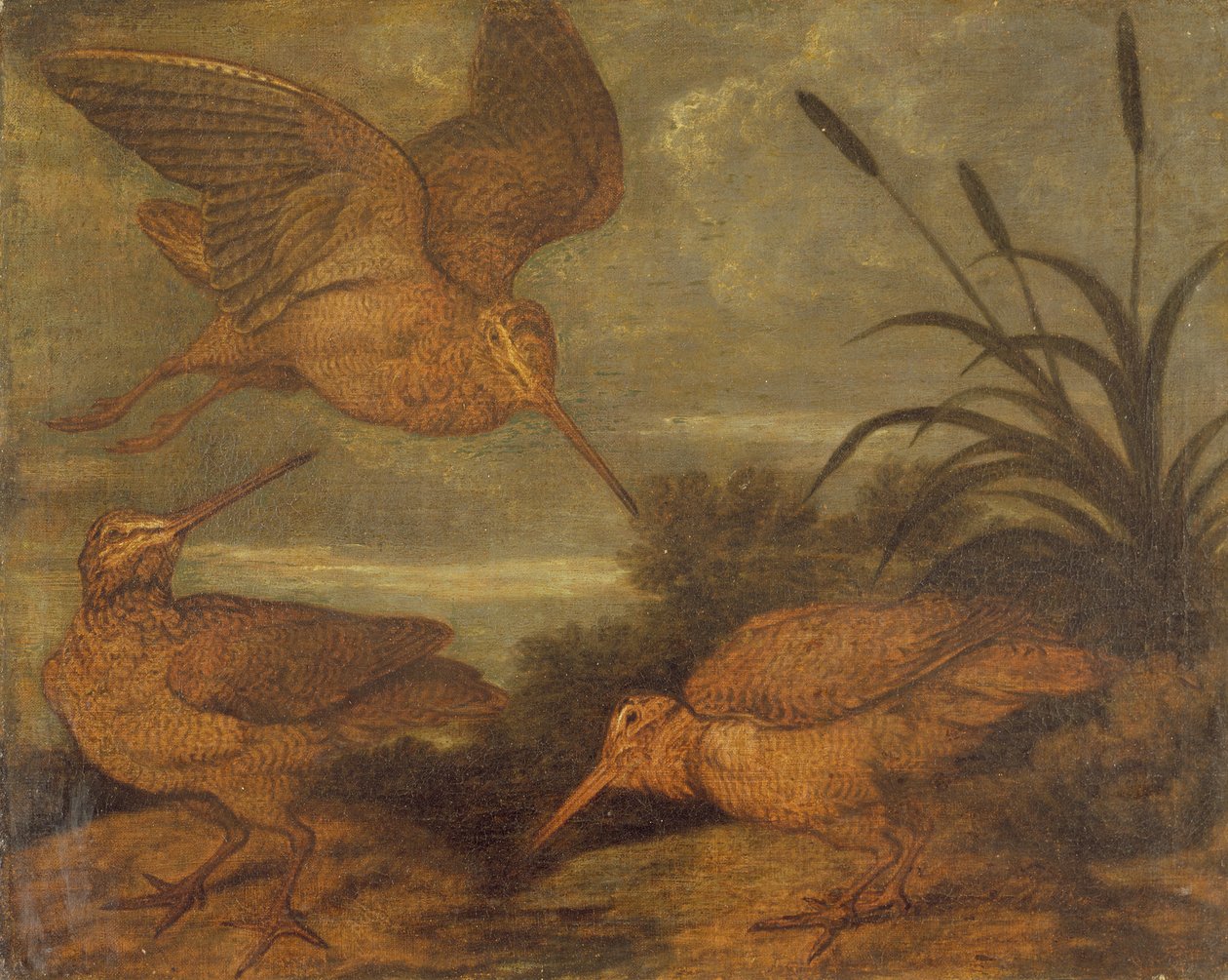 Fakakas alkonyatkor, 1676 körül alkotó: Francis Barlow