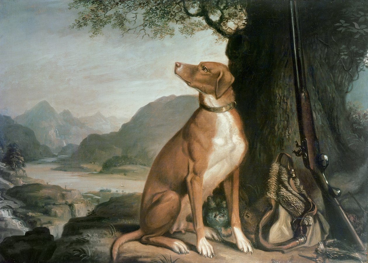 G. M. Johnston kedvenc lövészkutyája egy tájképen alkotó: J. Francis Sartorius