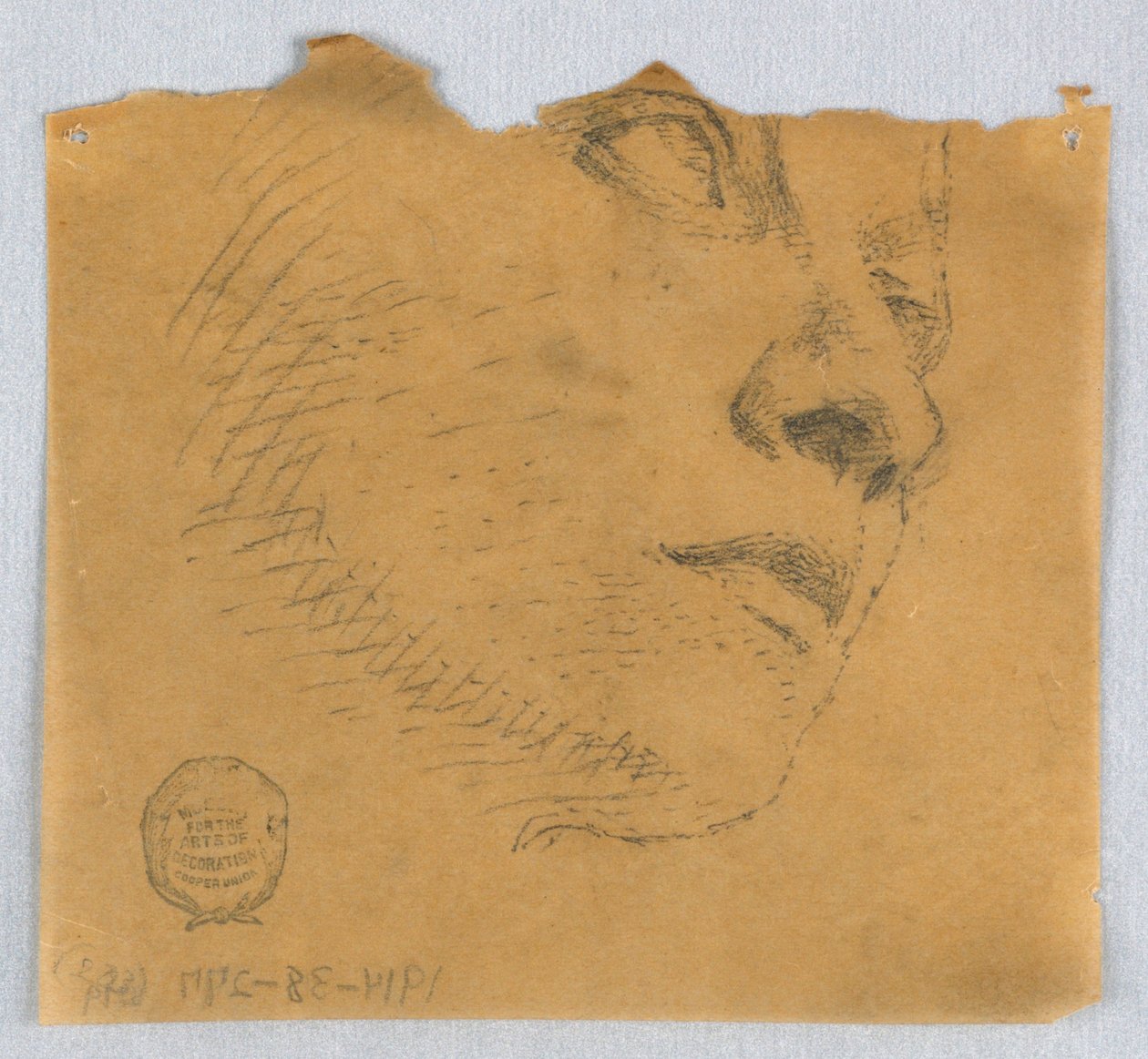 Részleges vázlat egy arcról alkotó: Francis Augustus Lathrop