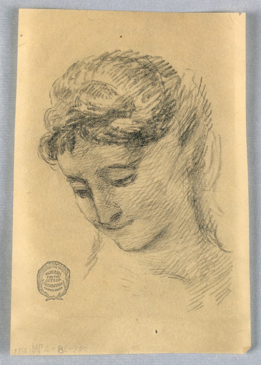 Vázlat egy női fejről alkotó: Francis Augustus Lathrop