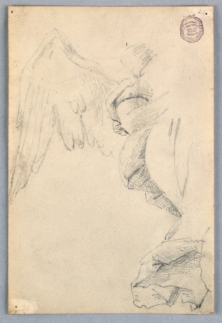 Vázlat szárnyakkal és drapériákkal alkotó: Francis Augustus Lathrop