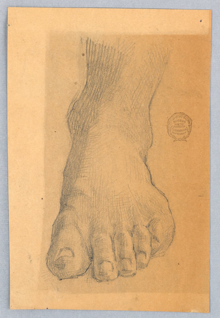 A bal láb tanulmányozása alkotó: Francis Augustus Lathrop