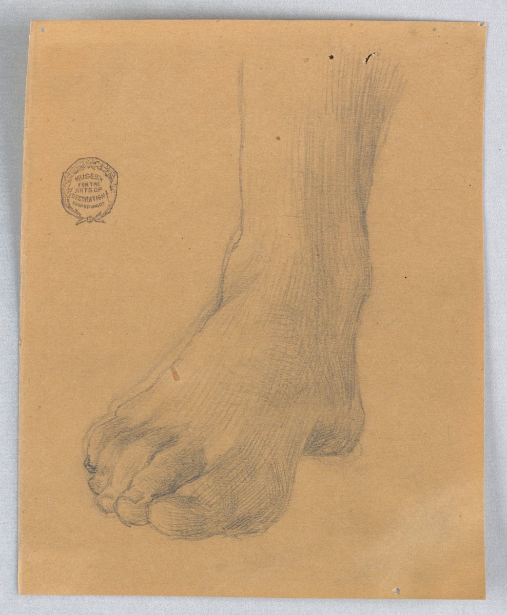 A jobb láb tanulmányozása alkotó: Francis Augustus Lathrop