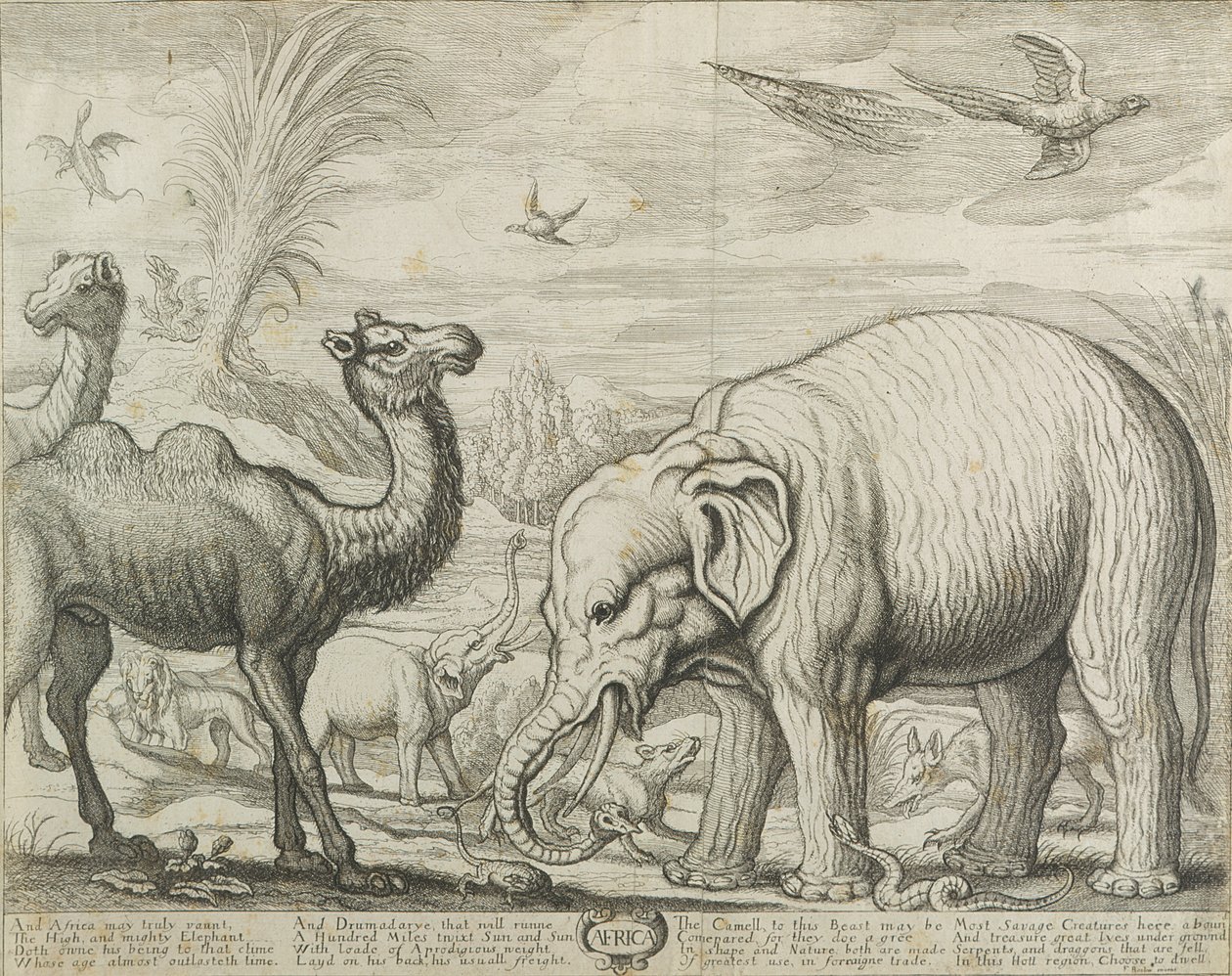 Afrika, 1672 alkotó: Francis Barlow