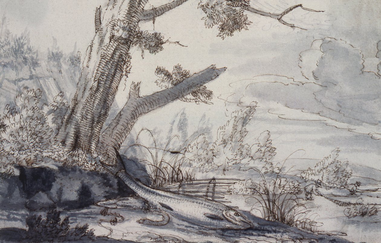 hal a bankon alkotó: Francis Barlow