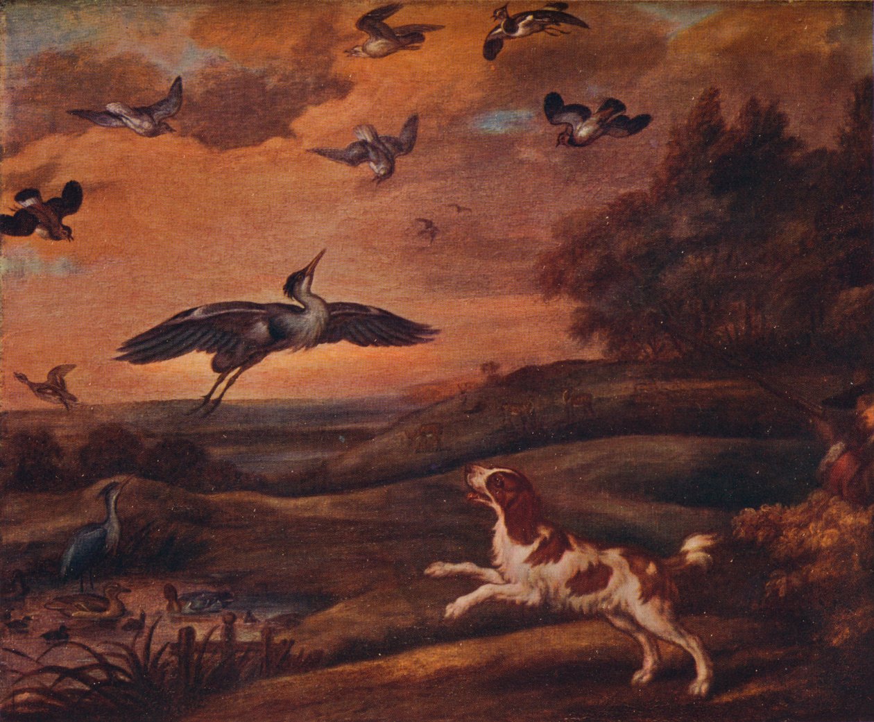 Lövöldözős lile, 17. század vége, 1922 alkotó: Francis Barlow