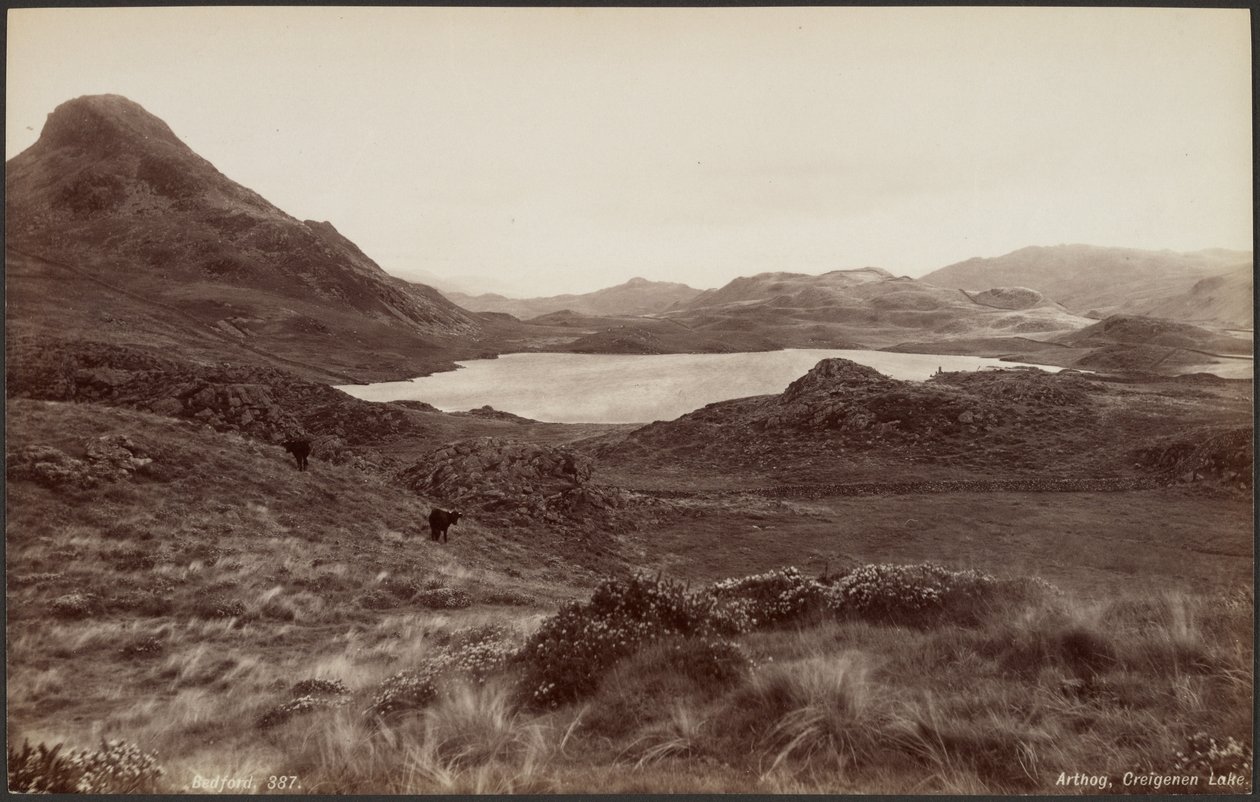 Arthog, Creigene-tó alkotó: Francis Bedford