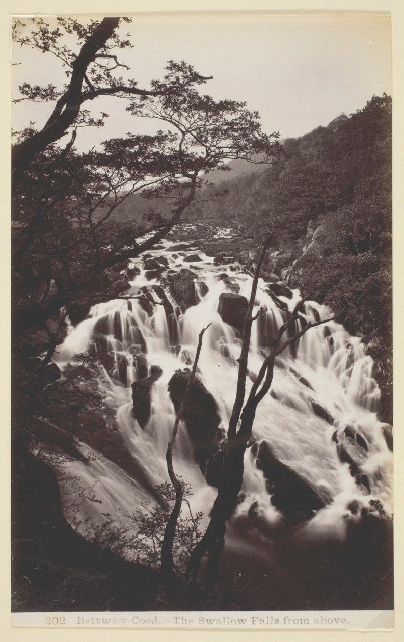 Betws-y Coed, A fecske felülről esik alkotó: Francis Bedford