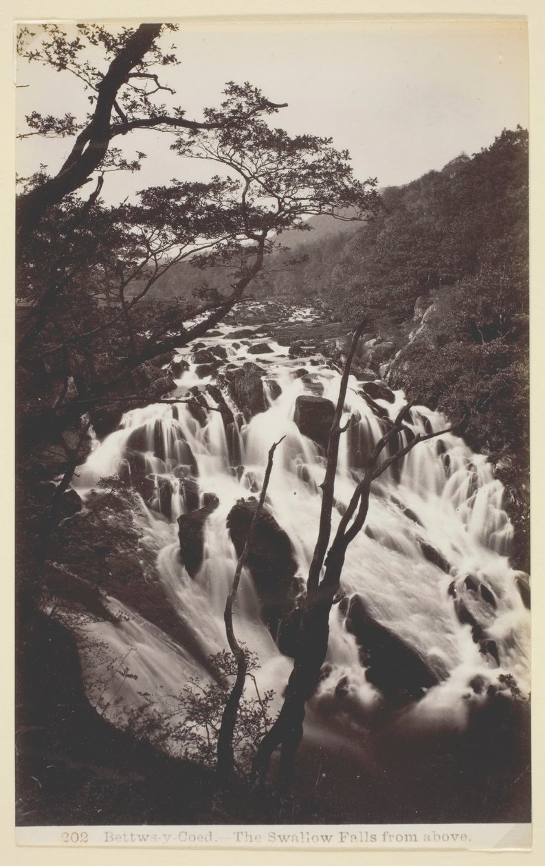 Bettws-y Coed, A fecske esik felülről, 186094. alkotó: Francis Bedford