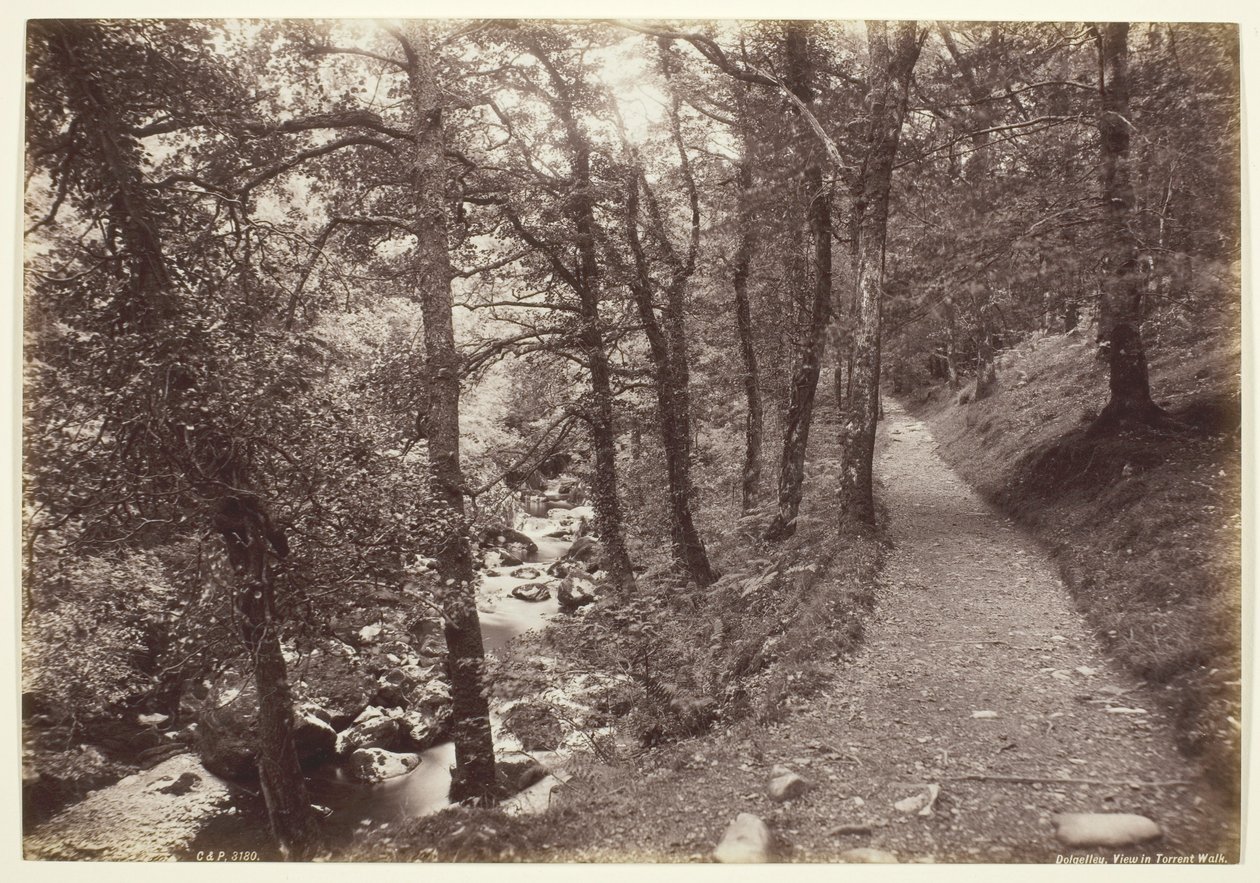 Dolgelley, View in Torrent Walk alkotó: Francis Bedford