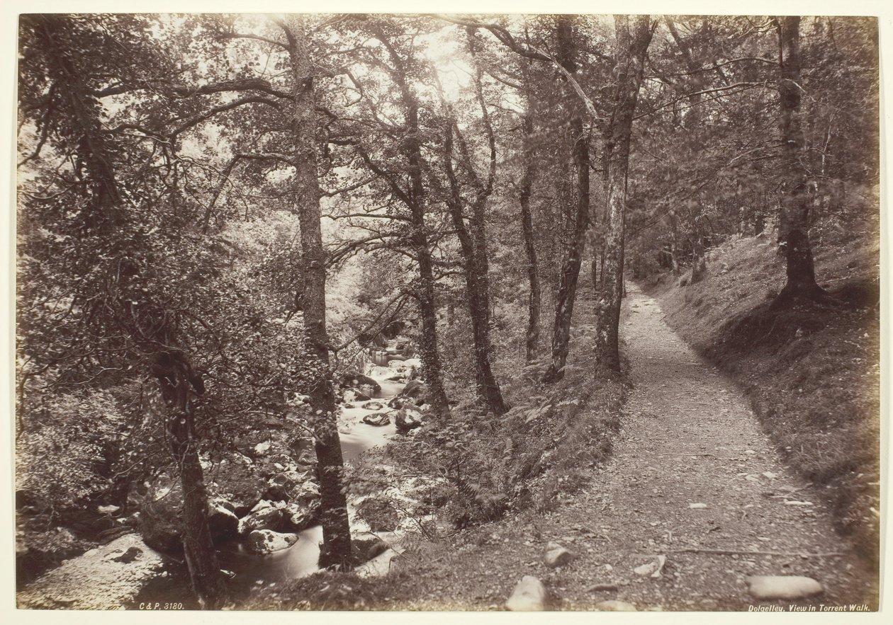 Dolgelley, View in Torrent Walk, 186094. alkotó: Francis Bedford