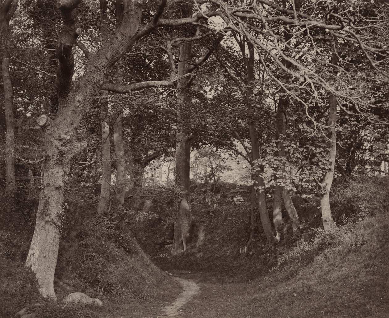 Glen Kenilworth,c. 1868 (fotó) alkotó: Francis Bedford