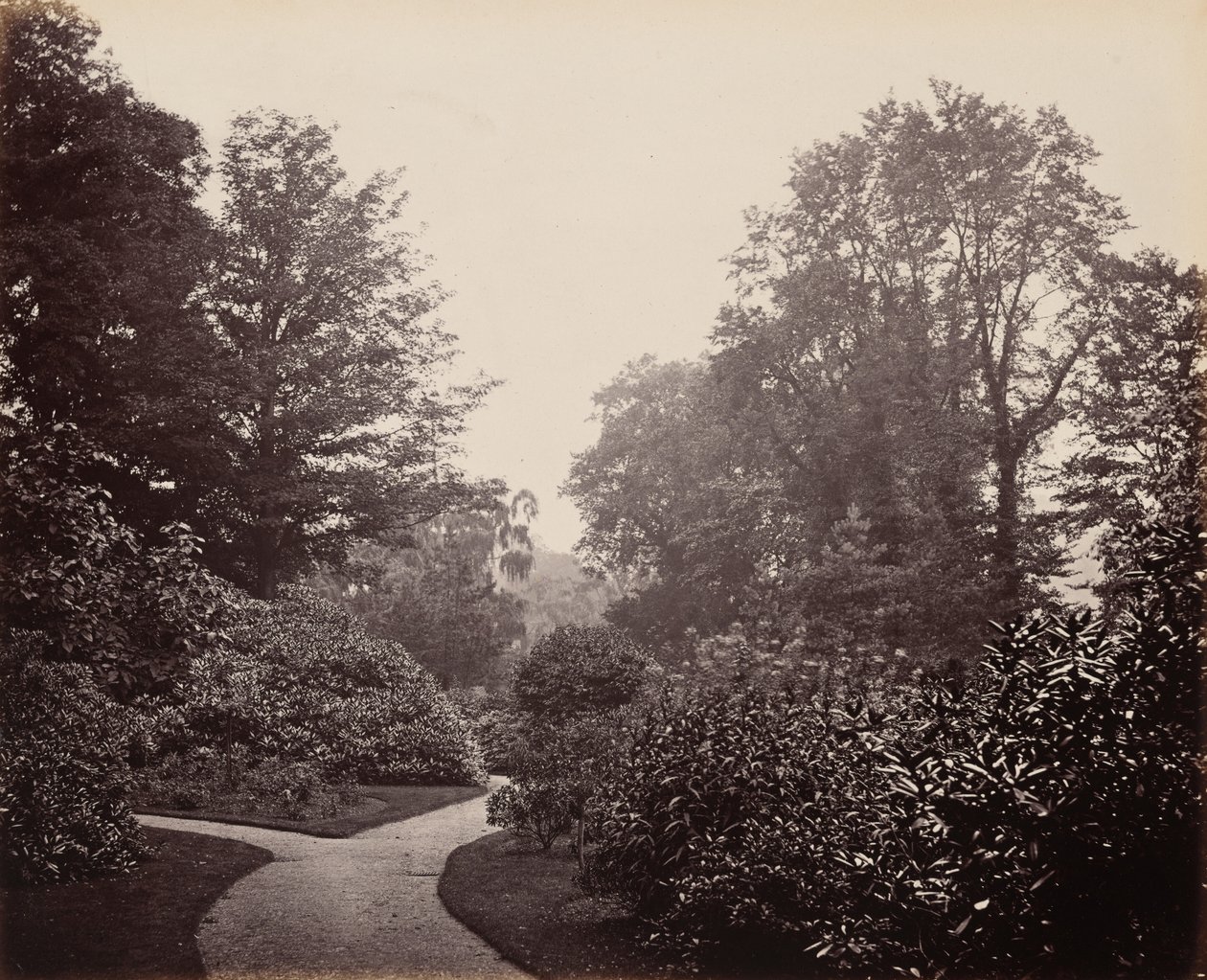 Út az Alexandra Parkban,c. 1863 (fotó) alkotó: Francis Bedford