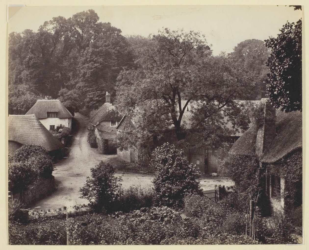 Untitled [nádfedeles nyaralók], 186094. alkotó: Francis Bedford