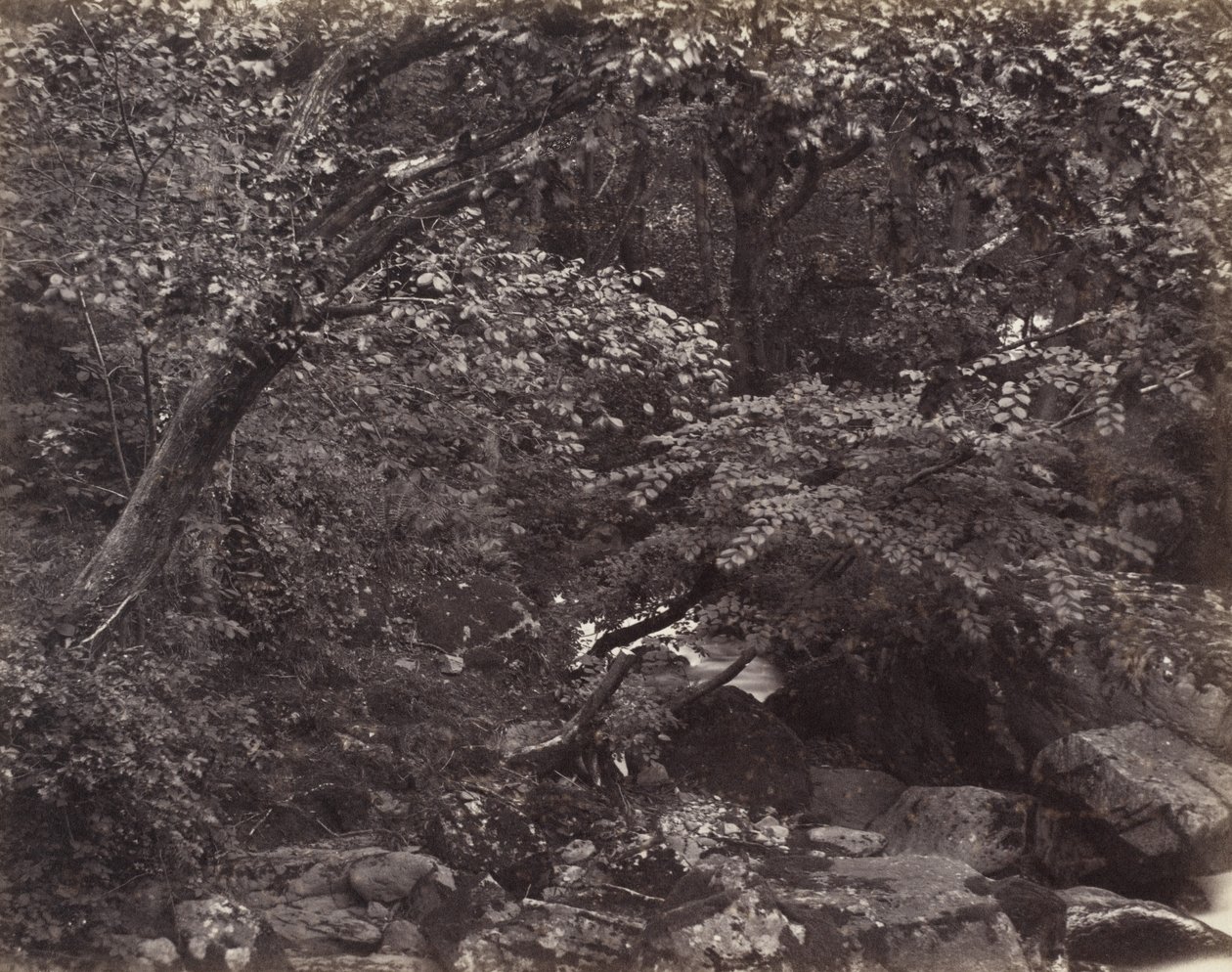 Glen Lynmouthban alkotó: Francis Bedford, Francis Frith