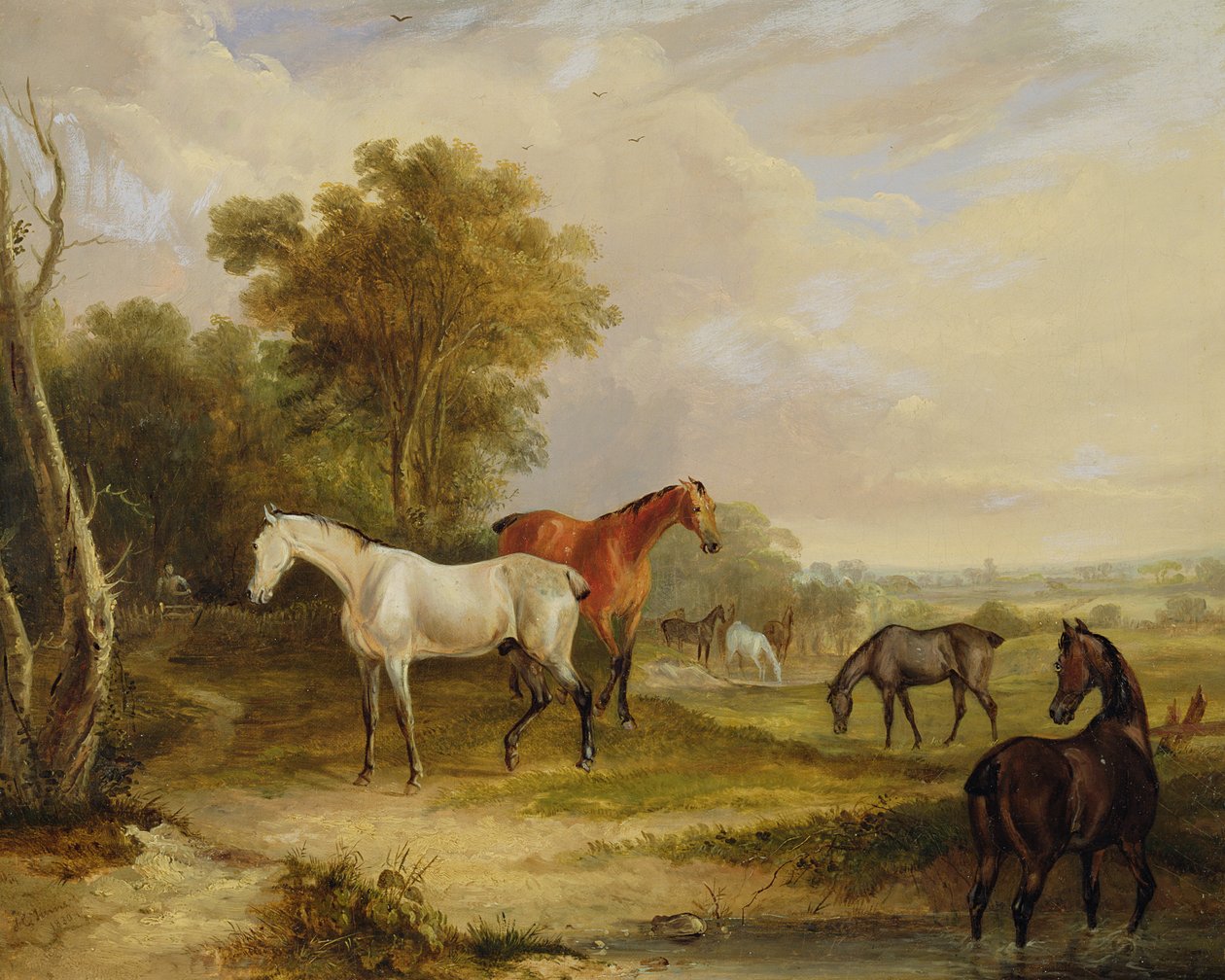 Lovak legeltetése: Szürke mén kancákkal legelészik a réten (olaj, vászon) alkotó: Francis Calcraft Turner