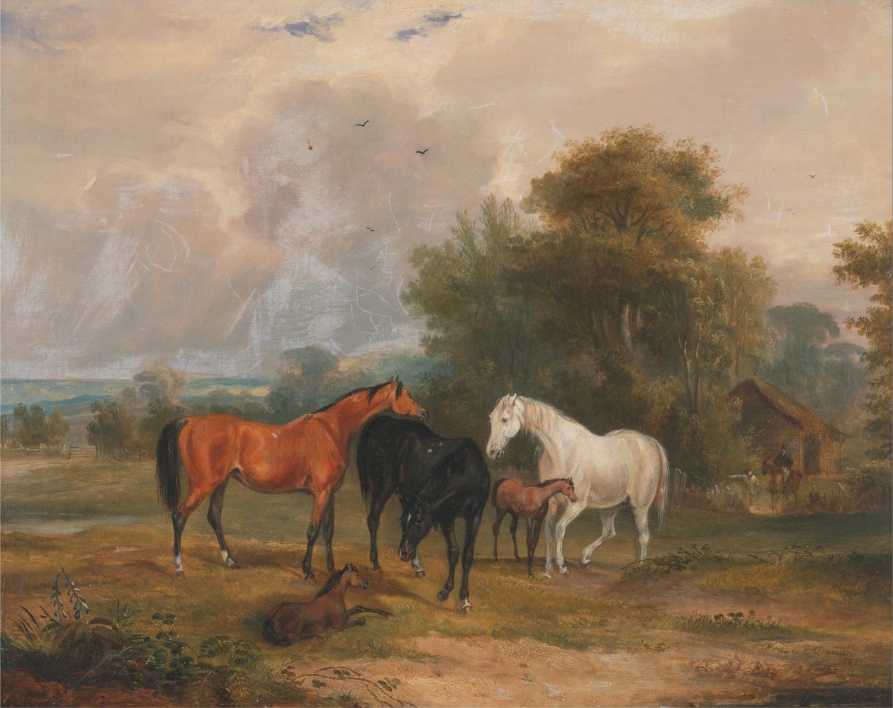 Legelő lovak: Kancák és csikók a mezőn alkotó: Francis Calcraft Turner