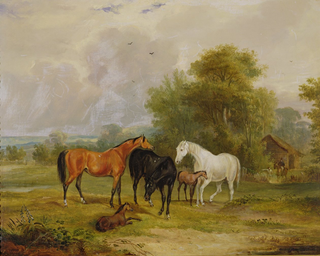 Lovak legeltetése: kancák és csikók a mezőn alkotó: Francis Calcraft Turner