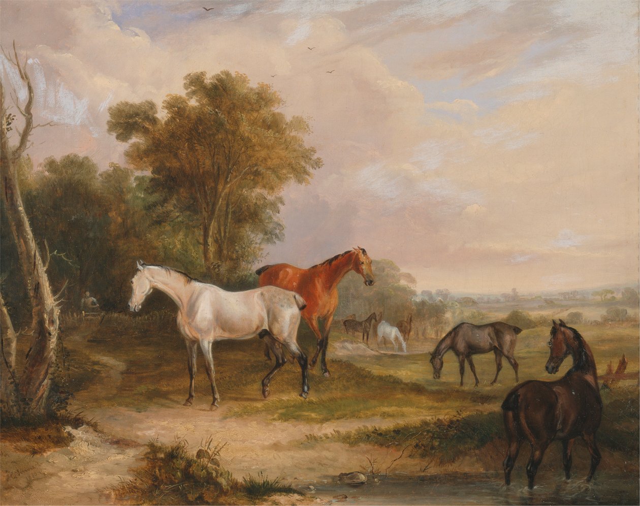 Lovak legeltetése: egy szürke mén kancákkal legelész a réten alkotó: Francis Calcraft Turner