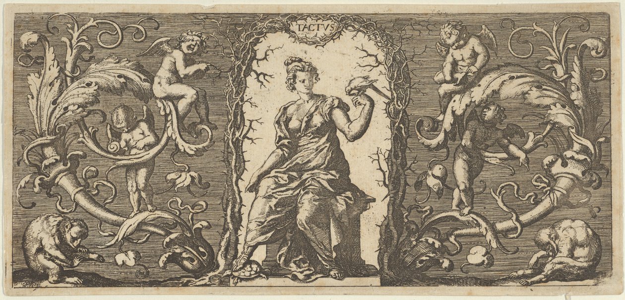 Touch Tactus, a Five Senses Five Sensestől, kb. 1655 alkotó: Francis Cleyn