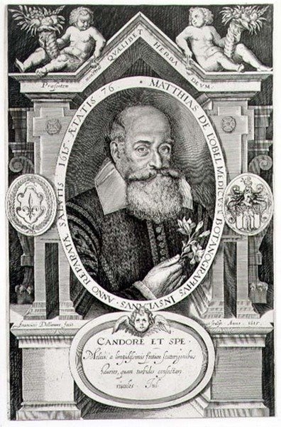 Matthias de Lobel (1538-1622) portréja a művész által metszett alkotó: Francis Delaram