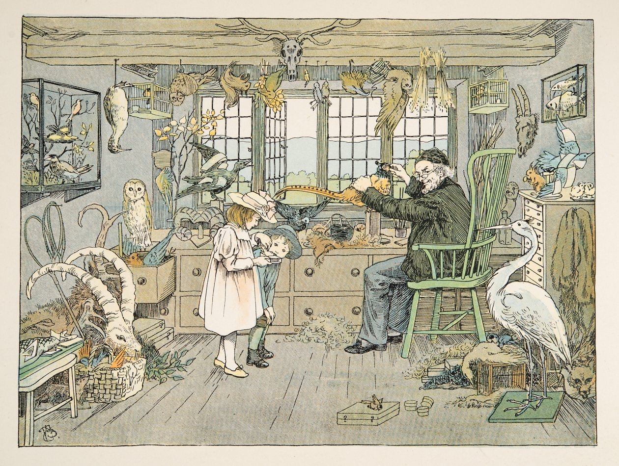 A madárpuffasztó, a Four and Twenty Toilers című kötetből, pub. 1900 (színes litográfia) alkotó: Francis Donkin Bedford