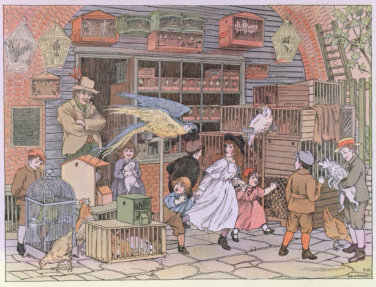 A kisállatbolt, a "The Book of Shops"-ból alkotó: Francis Donkin Bedford