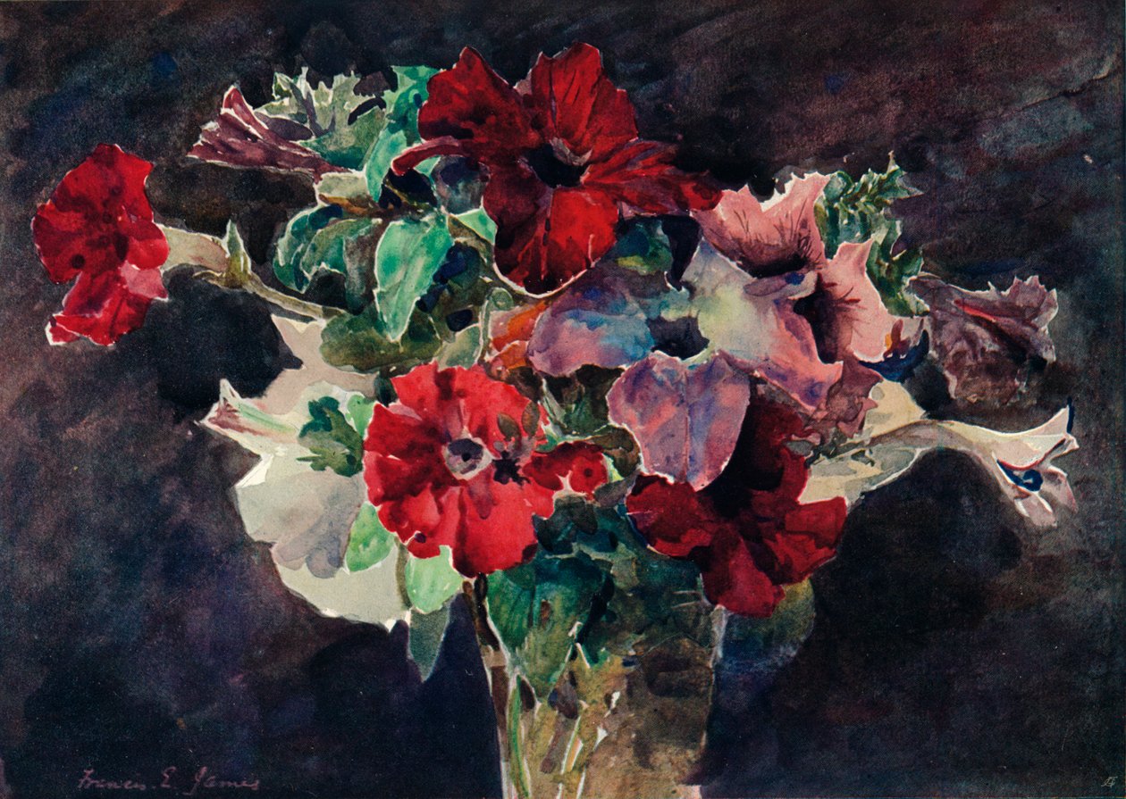 Petunias, 1869-1906, 1906 alkotó: Francis Edward James