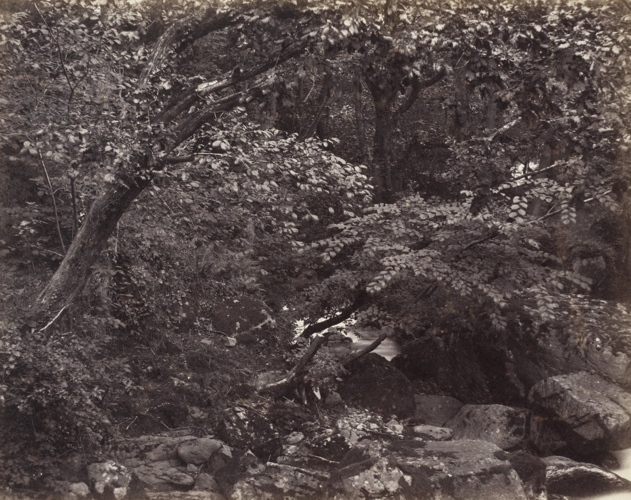 Glen Lynmouthban, 1860-as évek alkotó: Francis Frith