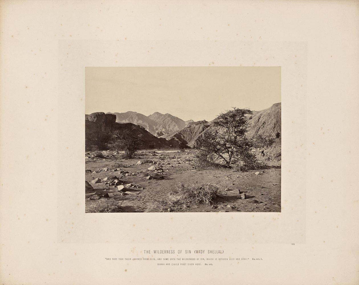 A bűn vadonja (Wady Shellal) alkotó: Francis Frith