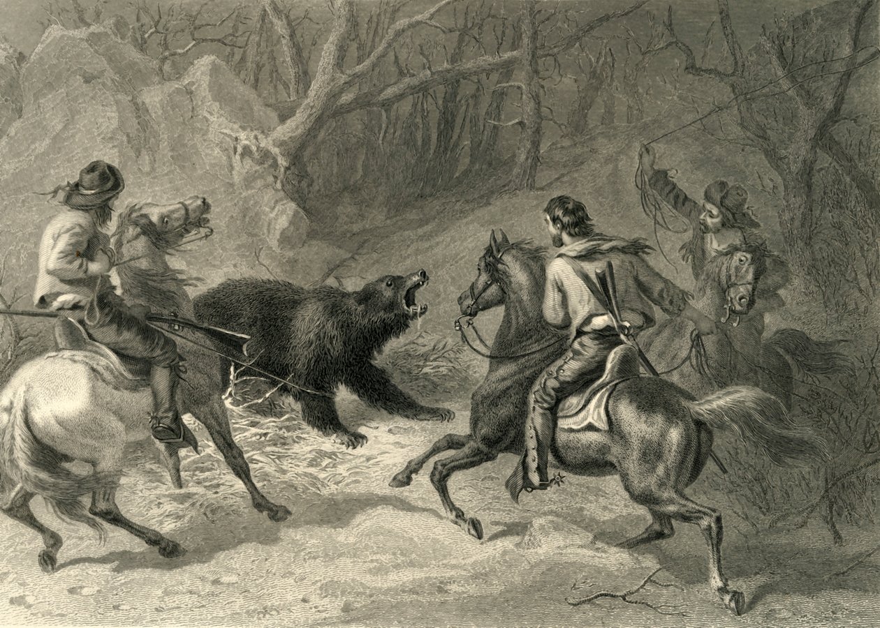 „Native Californians Lassoing a Bear”, 1874. alkotó: Francis Holl