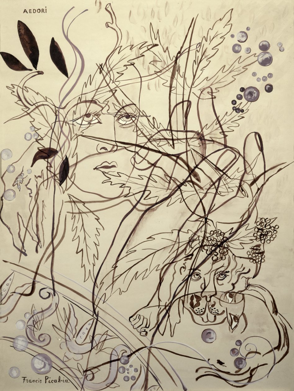 Aedori alkotó: Francis Picabia