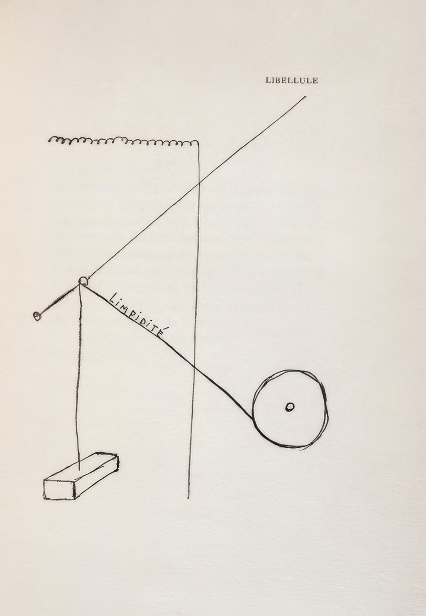 Szitakötő alkotó: Francis Picabia
