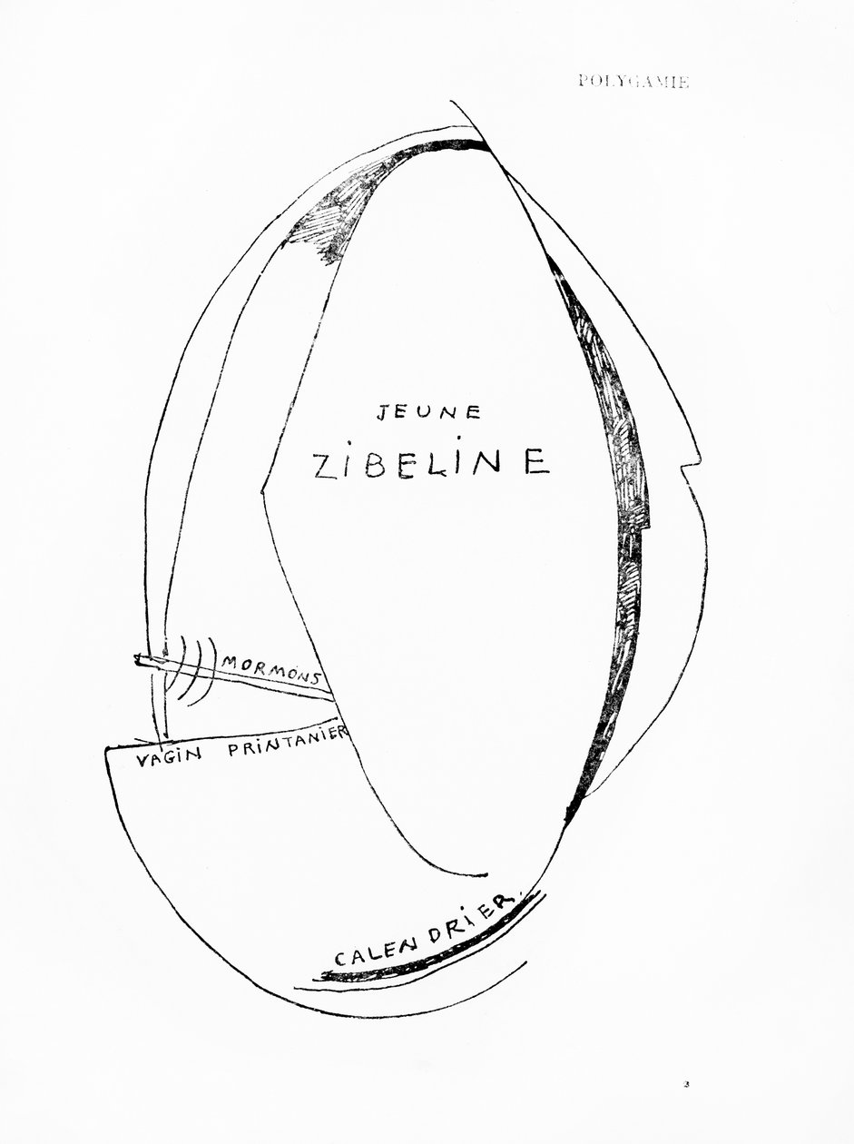 Poemes et Dessins de la Fille nee sans Mere, no.15, kiadó: Imprimeries Reunies, Lausanne. alkotó: Francis Picabia
