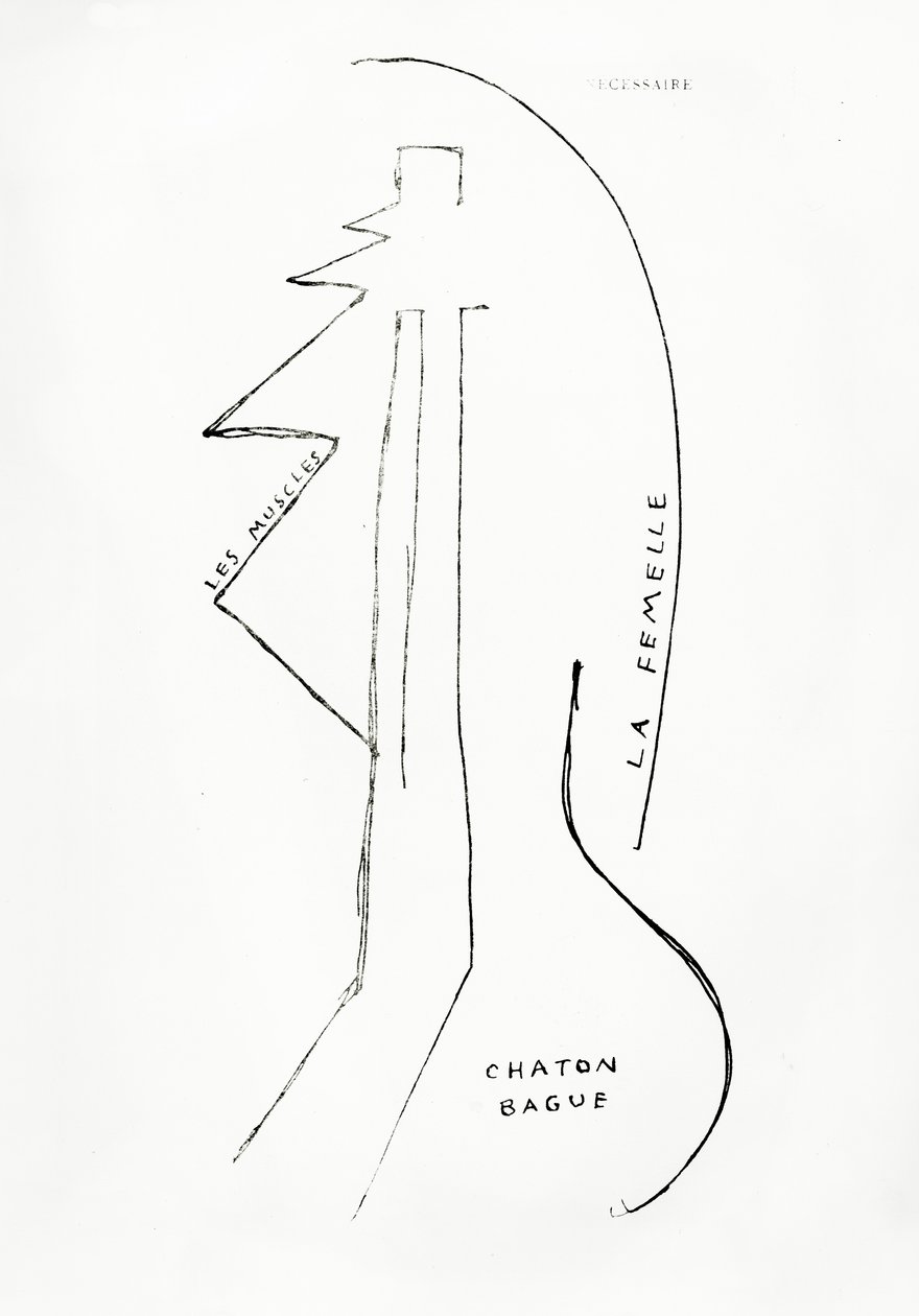 Poemes et Dessins de la Fille nee sans Mere, no.23, kiadó: Imprimeries Reunies, Lausanne. alkotó: Francis Picabia