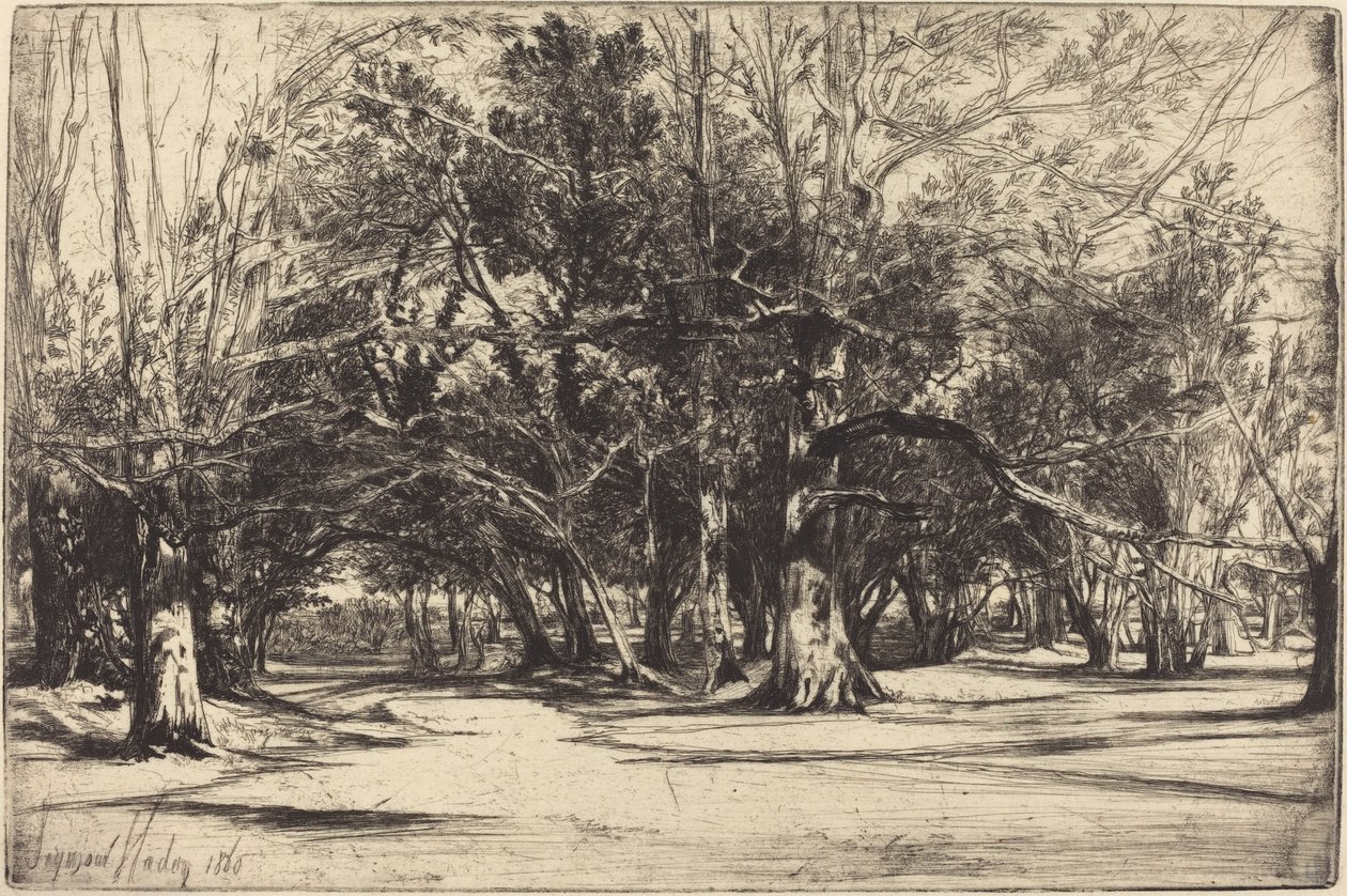 Egy mellékút Tipperaryben alkotó: Francis Seymour Haden