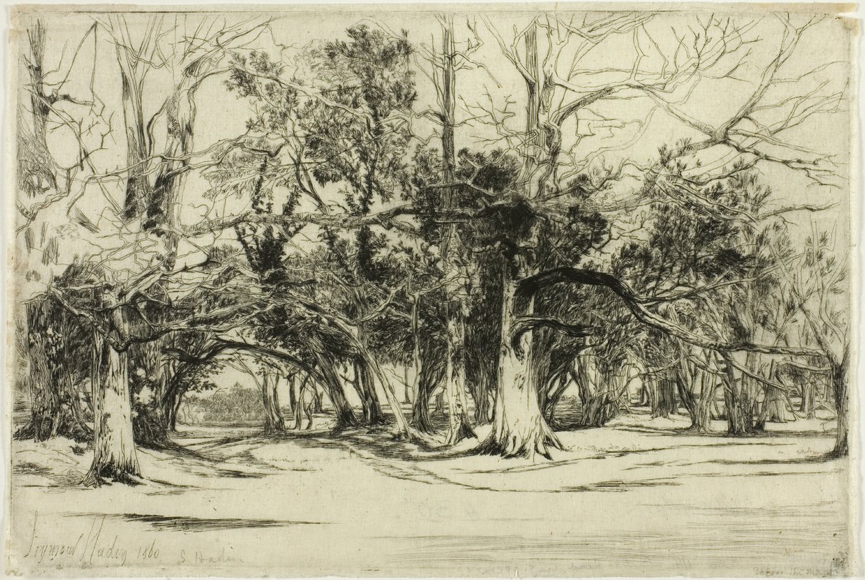 Egy mellékút Tipperaryben alkotó: Francis Seymour Haden