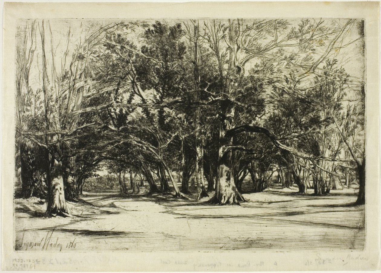Egy mellékút Tipperaryben alkotó: Francis Seymour Haden