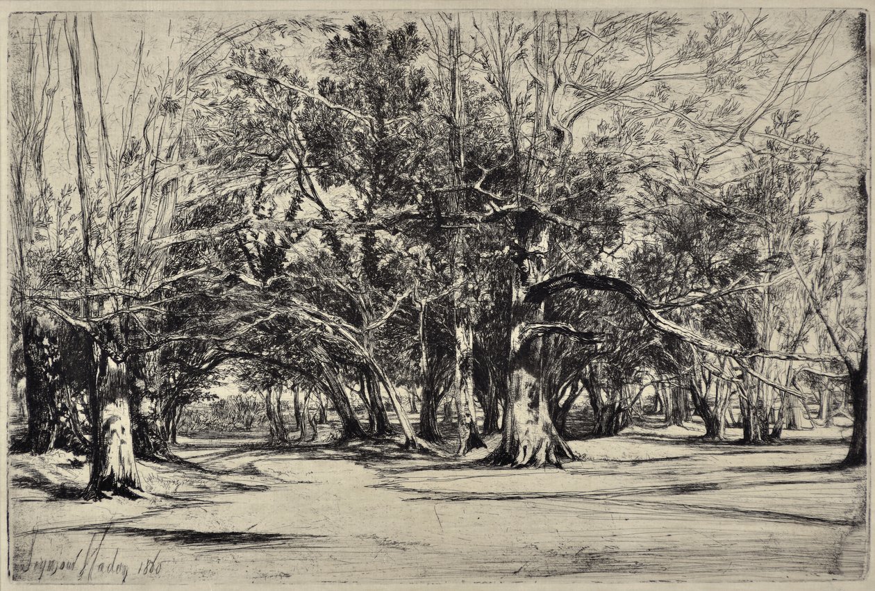 Mellékút Tipperaryben alkotó: Francis Seymour Haden
