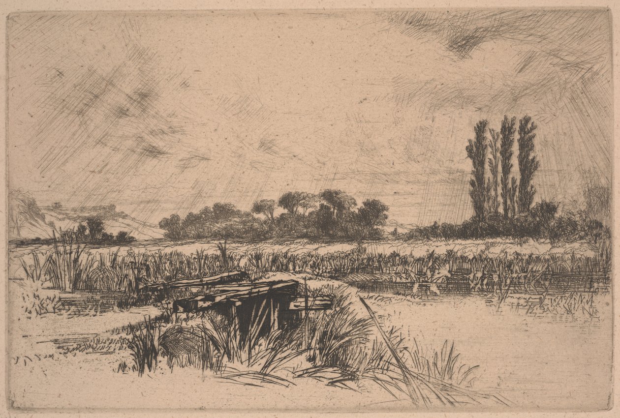 Vízi rét (rézkarc és szárazhegy) alkotó: Francis Seymour Haden