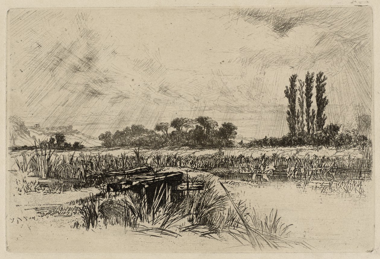 Vízi rét alkotó: Francis Seymour Haden