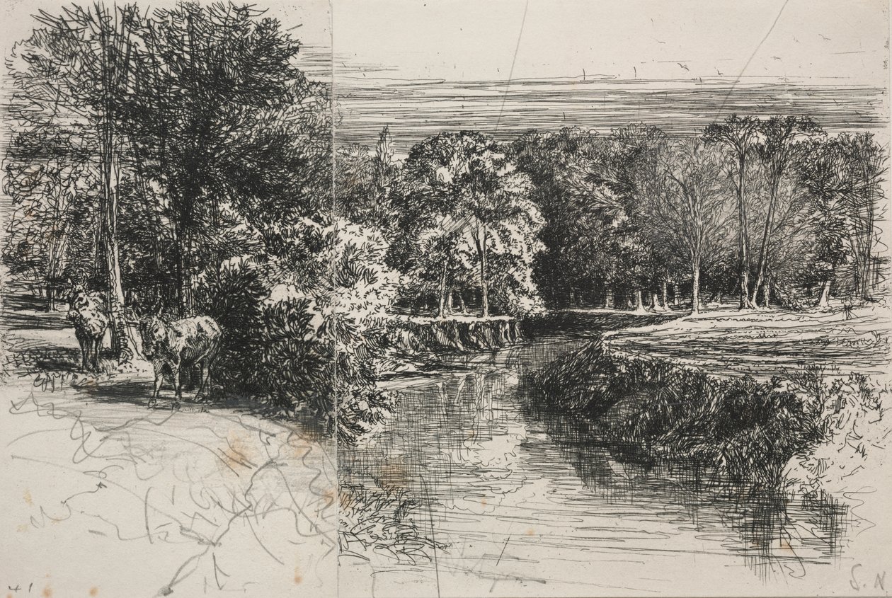 Dundrum folyó és a két szamár alkotó: Francis Seymour Haden