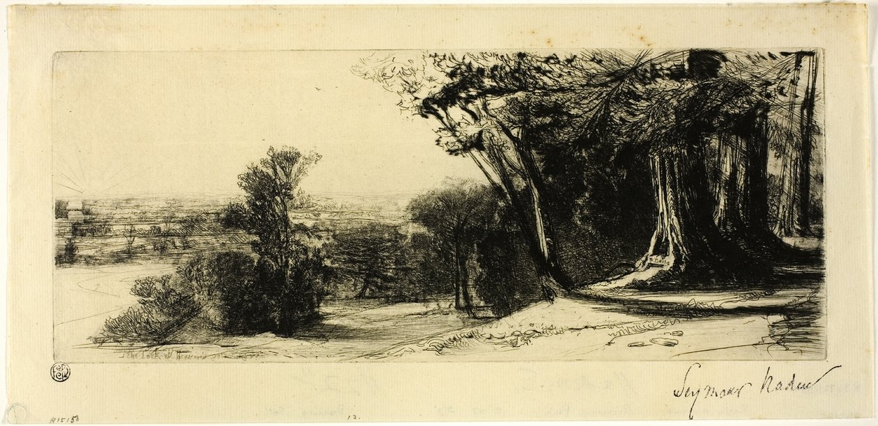 Kora reggel, Richmond Park alkotó: Francis Seymour Haden