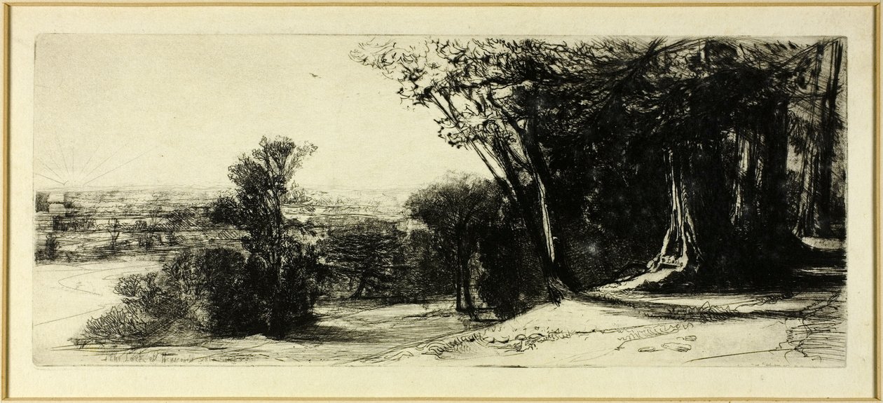 Kora reggel, Richmond Park alkotó: Francis Seymour Haden