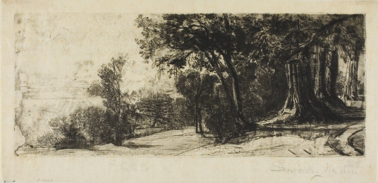 Kora reggel, Richmond Park alkotó: Francis Seymour Haden