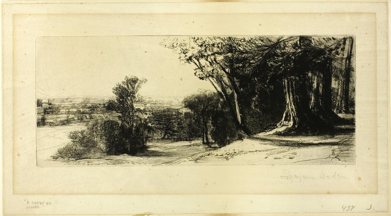 Kora reggel, Richmond Park alkotó: Francis Seymour Haden