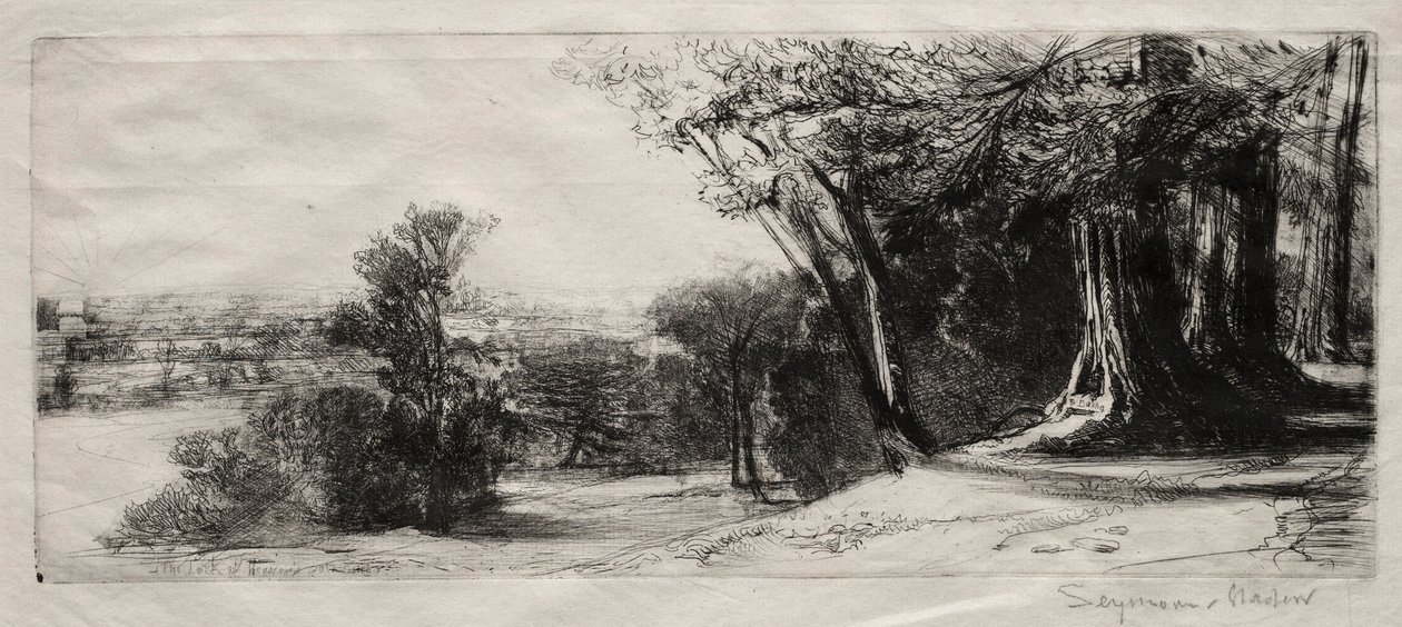 Kora reggel, Richmond Park. alkotó: Francis Seymour Haden